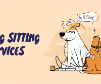 dog sitting services