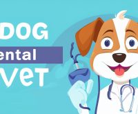 dog dental vet