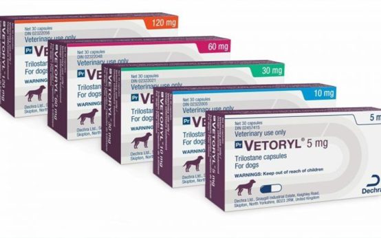 vetoryl capsules for dogs