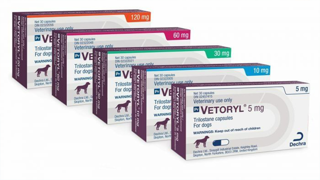 vetoryl capsules for dogs