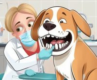 dog dental treatment