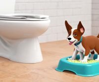 puppy potty training tips