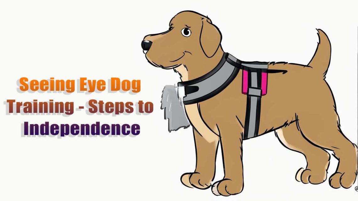 seeing eye dog training