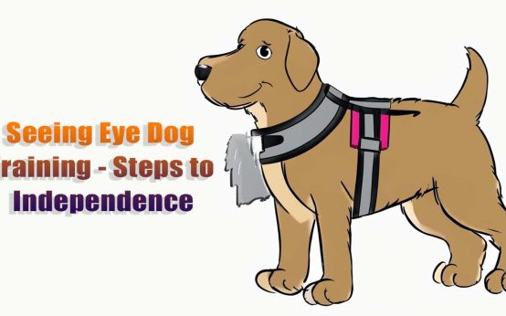 seeing eye dog training