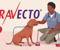 bravecto flea and tick