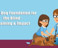 guide dog foundation for the blind