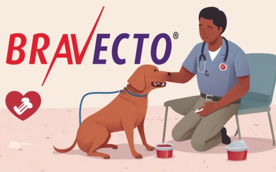 bravecto flea and tick