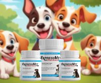 telmisartan for dogs