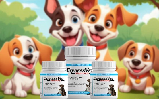 telmisartan for dogs