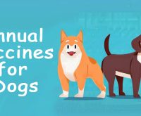 annual vaccines for dogs