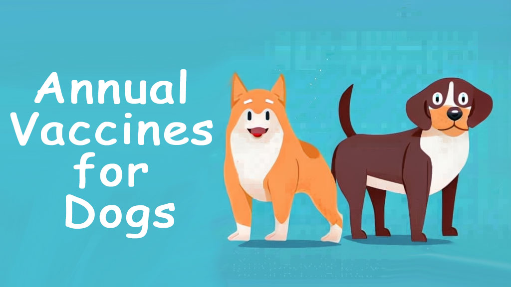 annual vaccines for dogs