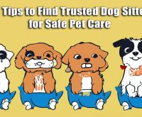 trusted dog sitters