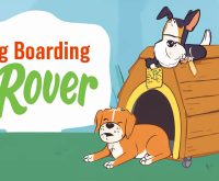 rover dog boarding