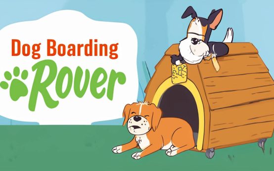 rover dog boarding