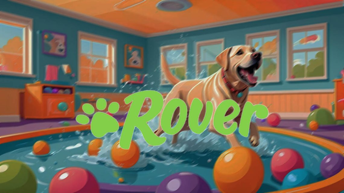 rover dog daycare