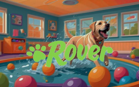 rover dog daycare