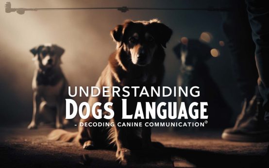 dogs language