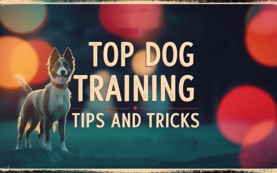 dog training tips and tricks