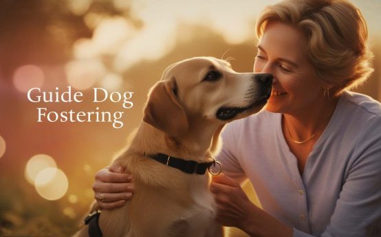 guide dog fostering